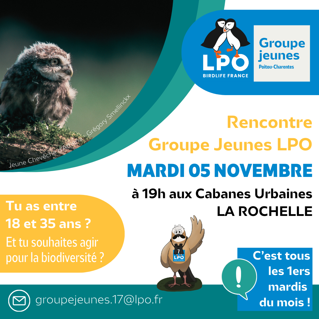 Rencontre Groupe Jeunes LPO en Charente-Maritime